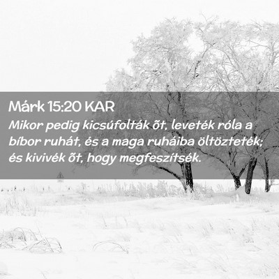 Picture 02 - Márk 15:20 KAR - Mikor pedig kicsúfolták õt, leveték róla a - Bible Verse Picture