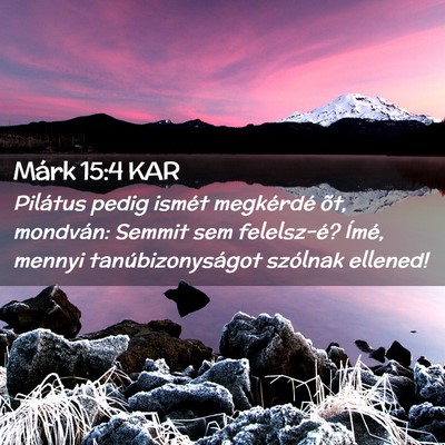 Picture 02 - Márk 15:4 KAR - Pilátus pedig ismét megkérdé õt, mondván: - Bible Verse Picture