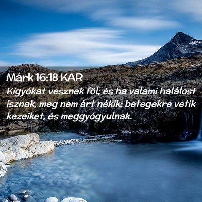 Picture 02 - Márk 16:18 KAR - Kígyókat vesznek föl; és ha valami halálost - Bible Verse Picture
