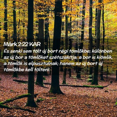 Picture 02 - Márk 2:22 KAR - És senki sem tölt új bort régi tömlõkbe; - Bible Verse Picture