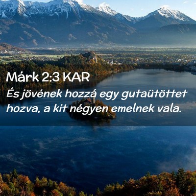 Picture 02 - Márk 2:3 KAR - És jövének hozzá egy gutaütöttet hozva, a - Bible Verse Picture