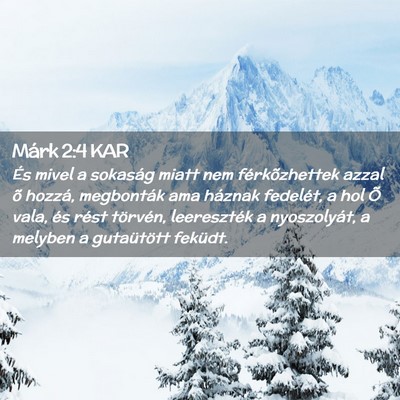 Picture 02 - Márk 2:4 KAR - És mivel a sokaság miatt nem férkõzhettek - Bible Verse Picture