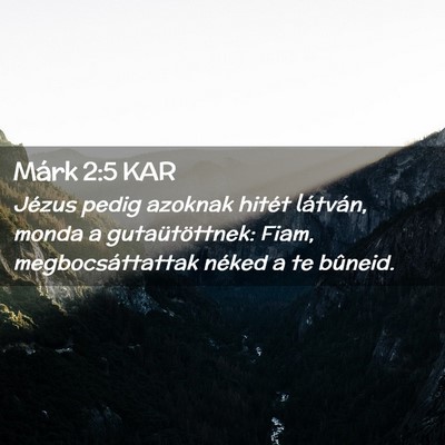Picture 02 - Márk 2:5 KAR - Jézus pedig azoknak hitét látván, monda a - Bible Verse Picture
