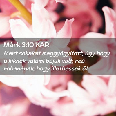 Picture 02 - Márk 3:10 KAR - Mert sokakat meggyógyított, úgy hogy a kiknek - Bible Verse Picture