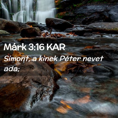 Picture 02 - Márk 3:16 KAR - Simont, a kinek Péter nevet - Bible Verse Picture
