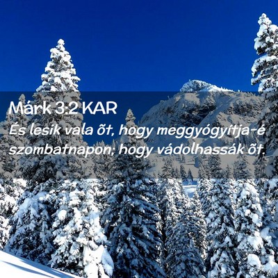 Picture 02 - Márk 3:2 KAR - És lesik vala õt, hogy meggyógyítja-é - Bible Verse Picture