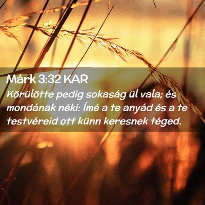 Picture 02 - Márk 3:32 KAR - Körülötte pedig sokaság ül vala; és - Bible Verse Picture