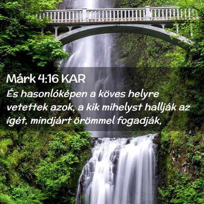 Picture 02 - Márk 4:16 KAR - És hasonlóképen a köves helyre vetettek azok, - Bible Verse Picture