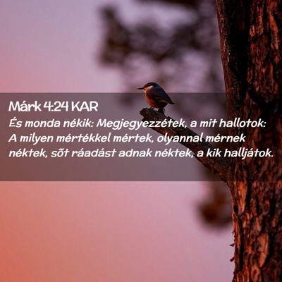 Picture 02 - Márk 4:24 KAR - És monda nékik: Megjegyezzétek, a mit - Bible Verse Picture