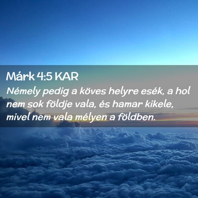Picture 02 - Márk 4:5 KAR - Némely pedig a köves helyre esék, a hol nem - Bible Verse Picture
