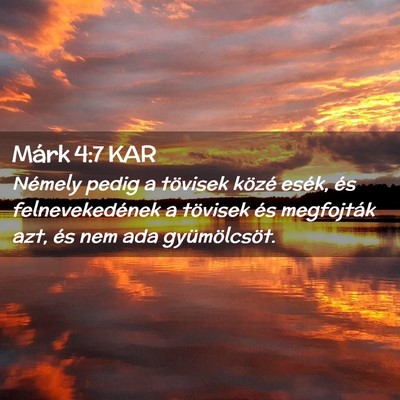 Picture 02 - Márk 4:7 KAR - Némely pedig a tövisek közé esék, és - Bible Verse Picture