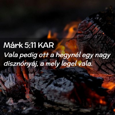 Picture 02 - Márk 5:11 KAR - Vala pedig ott a hegynél egy nagy disznónyáj, - Bible Verse Picture