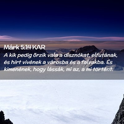 Picture 02 - Márk 5:14 KAR - A kik pedig õrzik vala a disznókat, elfutának, - Bible Verse Picture