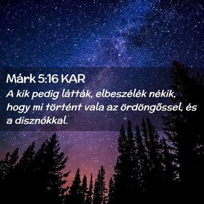 Picture 02 - Márk 5:16 KAR - A kik pedig látták, elbeszélék nékik, hogy - Bible Verse Picture