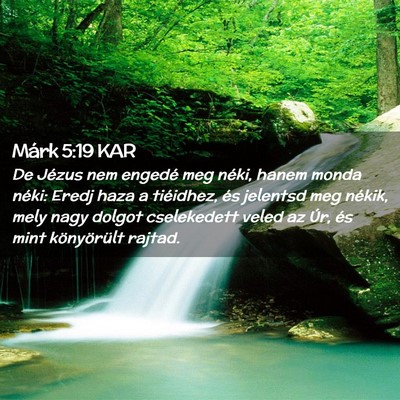 Picture 02 - Márk 5:19 KAR - De Jézus nem engedé meg néki, hanem monda - Bible Verse Picture