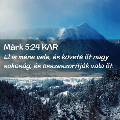 Picture 02 - Márk 5:24 KAR - El is méne vele, és követé õt nagy sokaság, - Bible Verse Picture