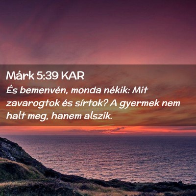 Picture 02 - Márk 5:39 KAR - És bemenvén, monda nékik: Mit zavarogtok és - Bible Verse Picture