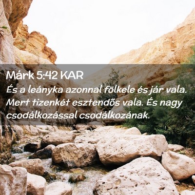 Picture 02 - Márk 5:42 KAR - És a leányka azonnal fölkele és jár vala. - Bible Verse Picture
