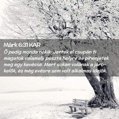 Picture 02 - Márk 6:31 KAR - Õ pedig monda nékik: Jertek el csupán ti - Bible Verse Picture