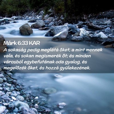 Picture 02 - Márk 6:33 KAR - A sokaság pedig meglátá õket, a mint mennek - Bible Verse Picture