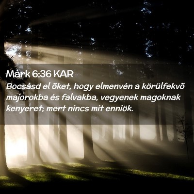 Picture 02 - Márk 6:36 KAR - Bocsásd el õket, hogy elmenvén a körülfekvõ - Bible Verse Picture