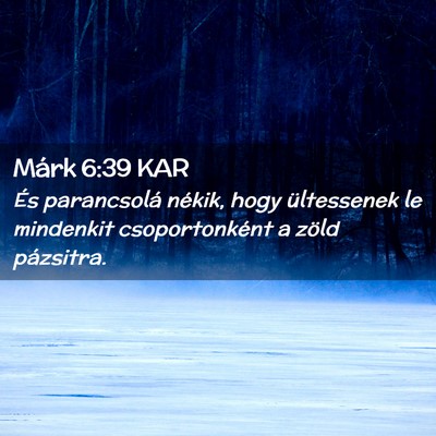Picture 02 - Márk 6:39 KAR - És parancsolá nékik, hogy ültessenek le - Bible Verse Picture