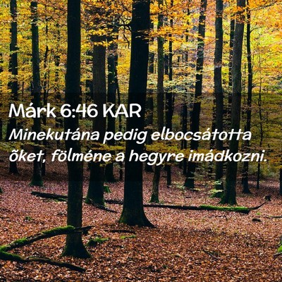 Picture 02 - Márk 6:46 KAR - Minekutána pedig elbocsátotta õket, fölméne - Bible Verse Picture