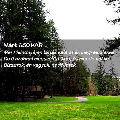 Picture 02 - Márk 6:50 KAR - Mert mindnyájan látják vala õt és - Bible Verse Picture