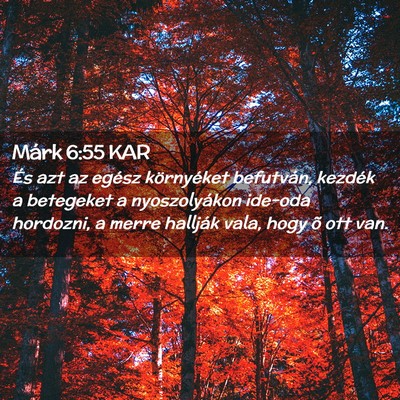 Picture 02 - Márk 6:55 KAR - És azt az egész környéket befutván, kezdék - Bible Verse Picture