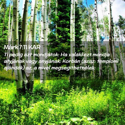 Picture 02 - Márk 7:11 KAR - Ti pedig azt mondjátok: Ha valaki ezt mondja - Bible Verse Picture