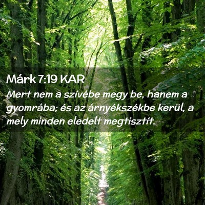 Picture 02 - Márk 7:19 KAR - Mert nem a szívébe megy be, hanem a gyomrába; - Bible Verse Picture