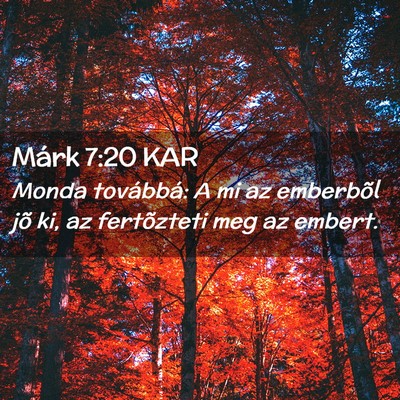 Picture 02 - Márk 7:20 KAR - Monda továbbá: A mi az emberbõl jõ ki, az - Bible Verse Picture