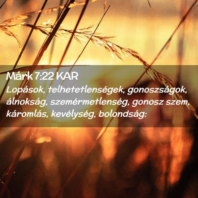 Picture 02 - Márk 7:22 KAR - Lopások, telhetetlenségek, gonoszságok, - Bible Verse Picture
