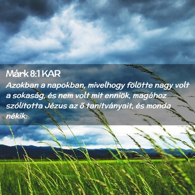 Picture 02 - Márk 8:1 KAR - Azokban a napokban, mivelhogy fölötte nagy volt - Bible Verse Picture
