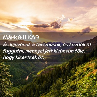 Picture 02 - Márk 8:11 KAR - És kijövének a farizeusok, és kezdék õt - Bible Verse Picture