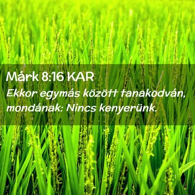 Picture 02 - Márk 8:16 KAR - Ekkor egymás között tanakodván, mondának: - Bible Verse Picture