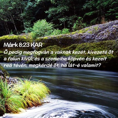 Picture 02 - Márk 8:23 KAR - Õ pedig megfogván a vaknak kezét, kivezeté - Bible Verse Picture