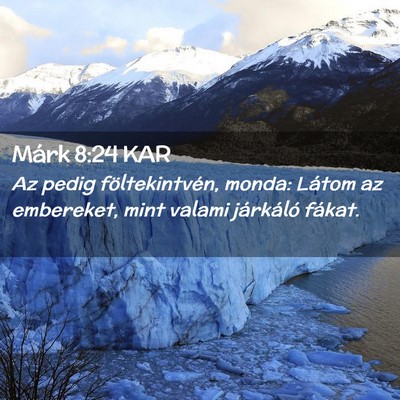 Picture 02 - Márk 8:24 KAR - Az pedig föltekintvén, monda: Látom az - Bible Verse Picture