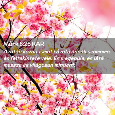 Picture 02 - Márk 8:25 KAR - Azután kezeit ismét ráveté annak szemeire, - Bible Verse Picture