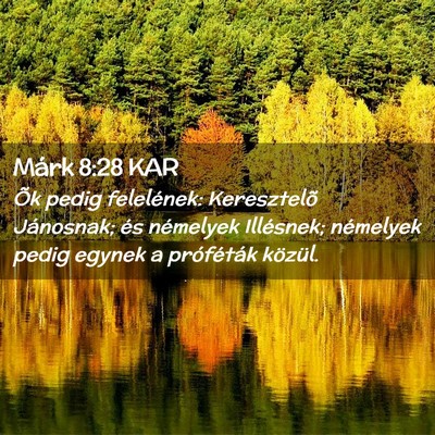Picture 02 - Márk 8:28 KAR - Õk pedig felelének: Keresztelõ Jánosnak; és - Bible Verse Picture