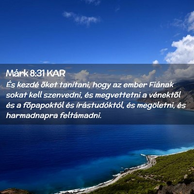 Picture 02 - Márk 8:31 KAR - És kezdé õket tanítani, hogy az ember Fiának - Bible Verse Picture