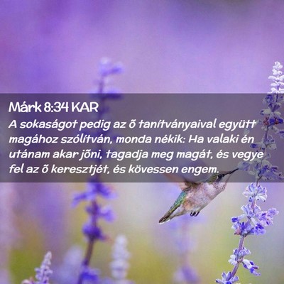 Picture 02 - Márk 8:34 KAR - A sokaságot pedig az õ tanítványaival együtt - Bible Verse Picture