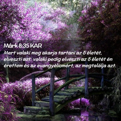 Picture 02 - Márk 8:35 KAR - Mert valaki meg akarja tartani az õ életét, - Bible Verse Picture