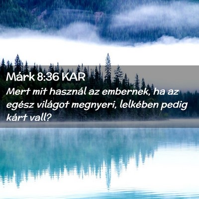 Picture 02 - Márk 8:36 KAR - Mert mit használ az embernek, ha az egész - Bible Verse Picture