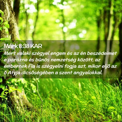 Picture 02 - Márk 8:38 KAR - Mert valaki szégyel engem és az én - Bible Verse Picture