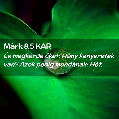 Picture 02 - Márk 8:5 KAR - És megkérdé õket: Hány kenyeretek van? Azok - Bible Verse Picture