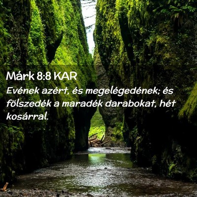 Picture 02 - Márk 8:8 KAR - Evének azért, és megelégedének; és - Bible Verse Picture