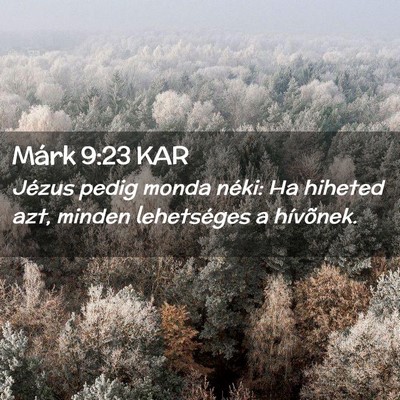 Picture 02 - Márk 9:23 KAR - Jézus pedig monda néki: Ha hiheted azt, minden - Bible Verse Picture