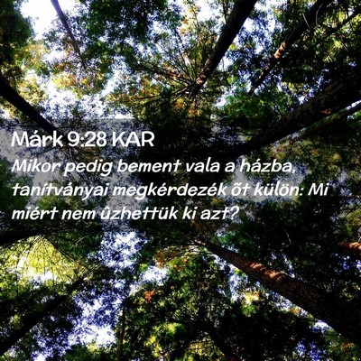 Picture 02 - Márk 9:28 KAR - Mikor pedig bement vala a házba, tanítványai - Bible Verse Picture