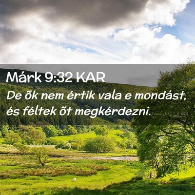 Picture 02 - Márk 9:32 KAR - De õk nem értik vala e mondást, és féltek - Bible Verse Picture